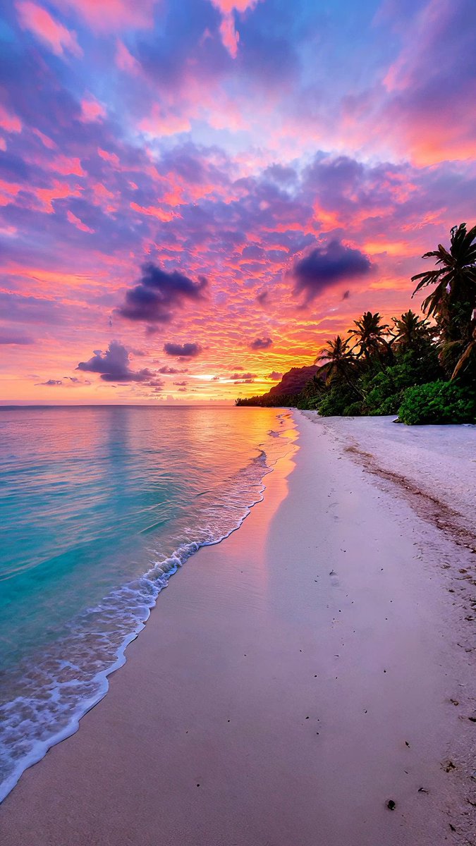 Aesthetics tweet media