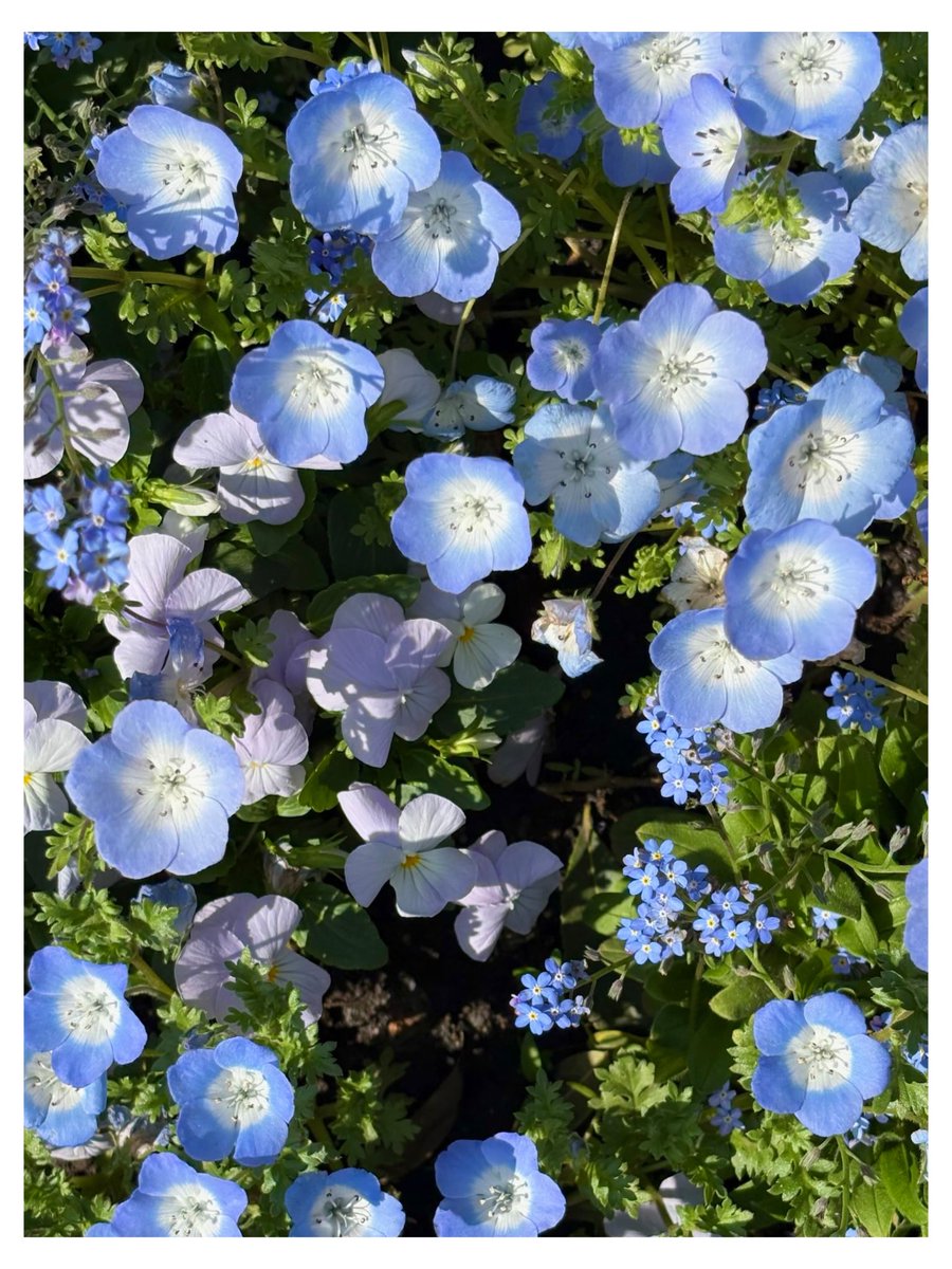 ʏ ᴜ ɴ tweet media