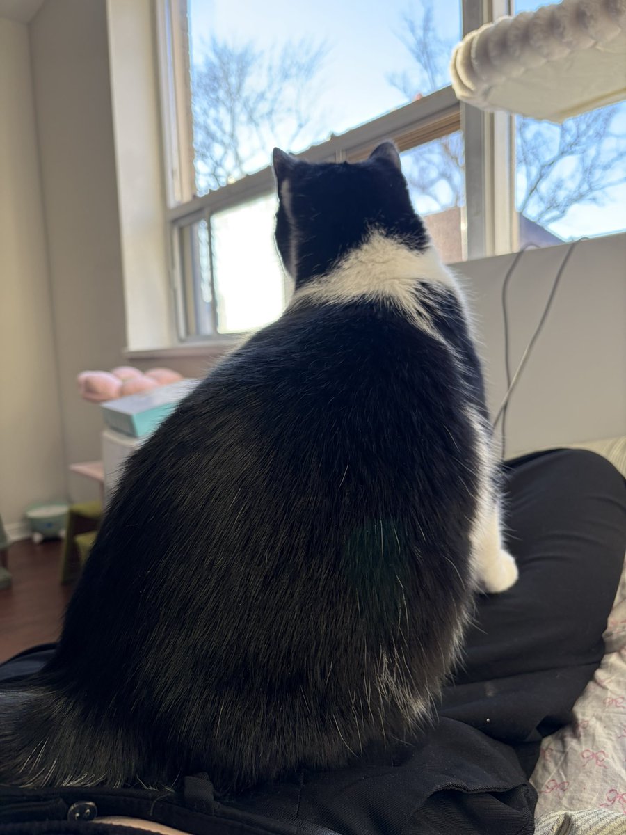 sydnee 🍓 tweet media