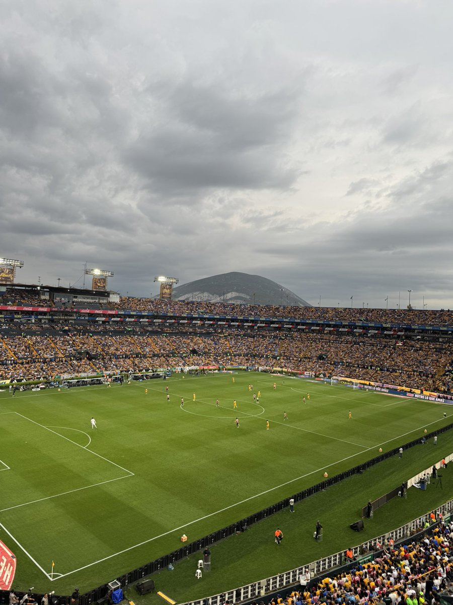 AngelTi8res 🇲🇽 tweet media