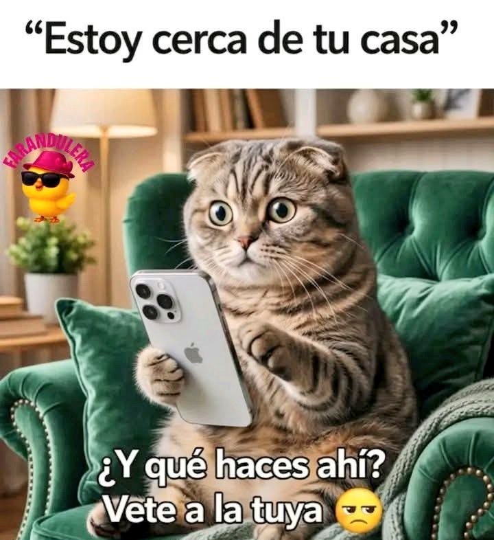 🌻TheMemeGirlSv🌻 tweet media