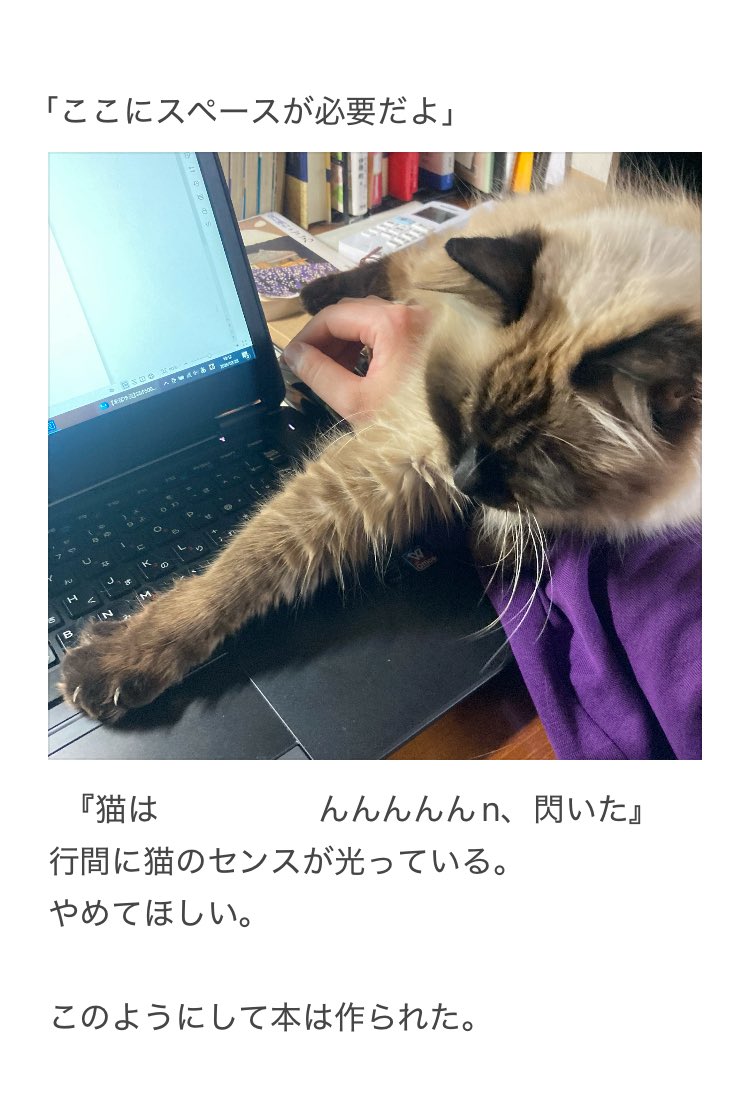 やーこ tweet media