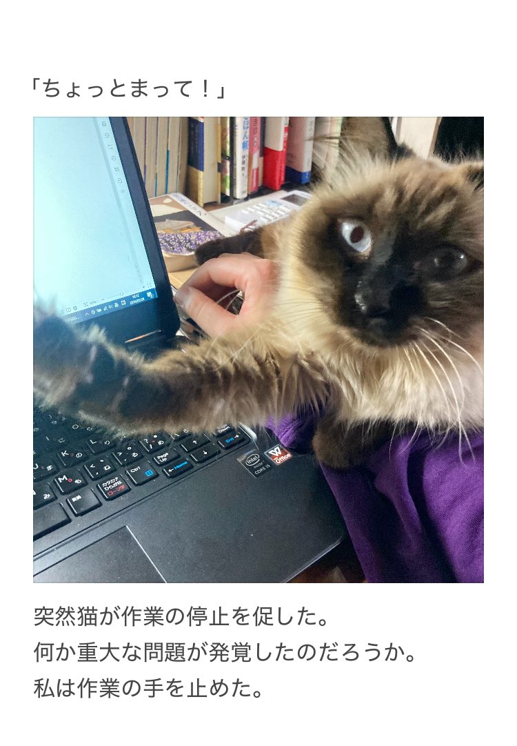 やーこ tweet media