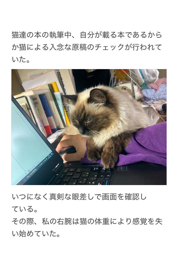 やーこ tweet media