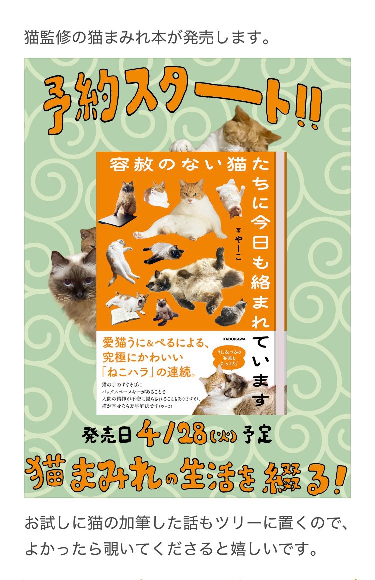 やーこ tweet media