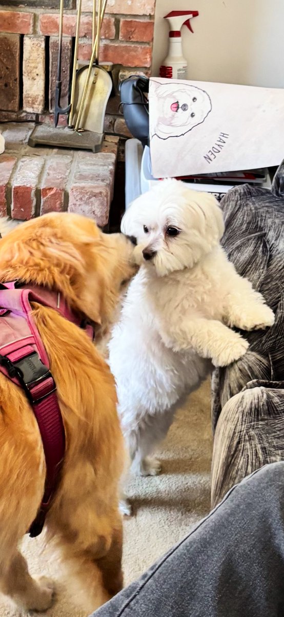 Jaxcarly0612's tweet image. Me and Kelly kissing 💋🥰 #Cousins #HaydenAndKelly🤍💛