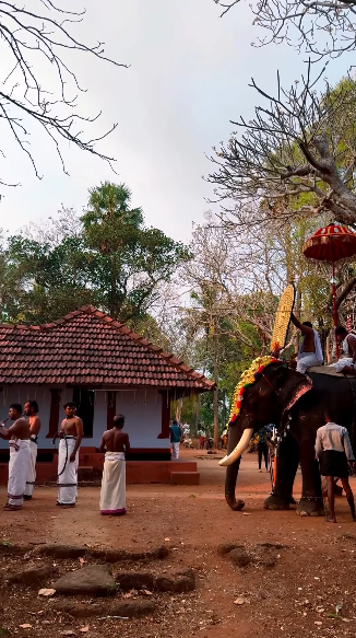 Good morning wishes to all 🥰