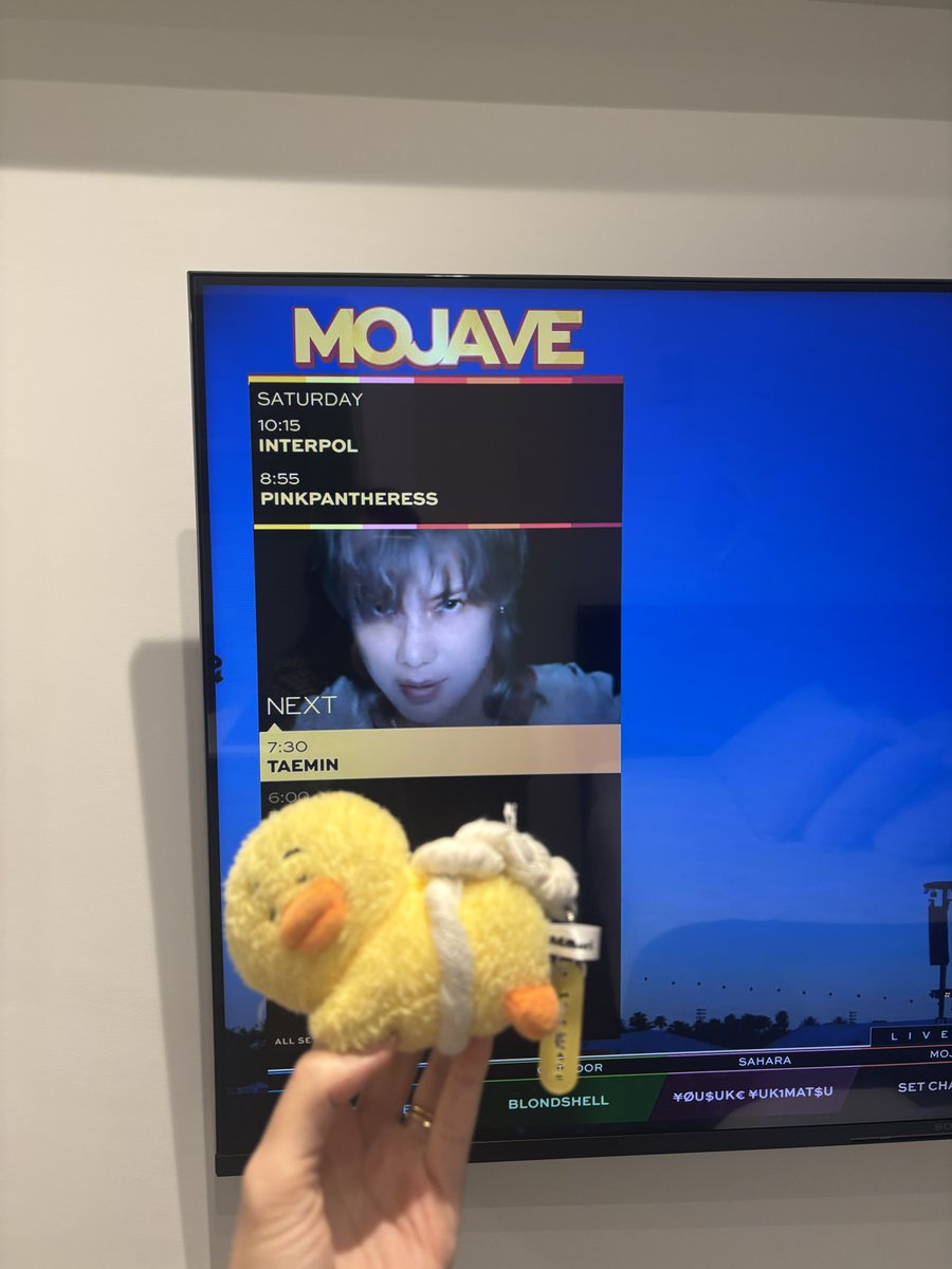 cindy 🌥️ tweet media