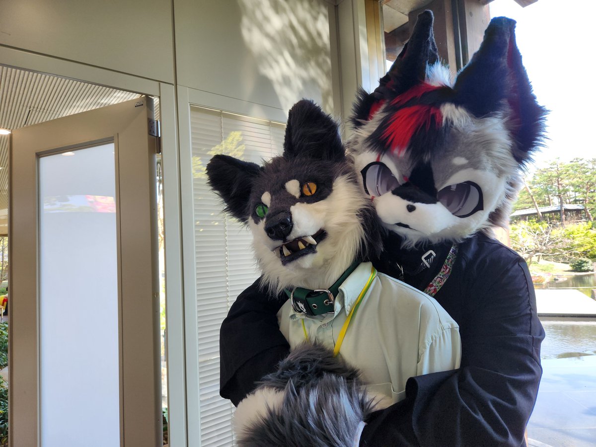 ウメちゃんのバックハグ？！……なのか？w
シメラレテナイ？🥲

 #京けも4  
📷（<a href="/1009Izuki/">ゆいづき</a>） 
🐺 <a href="/ume__mo_om/">ウメ @Next▶︎⁇</a>