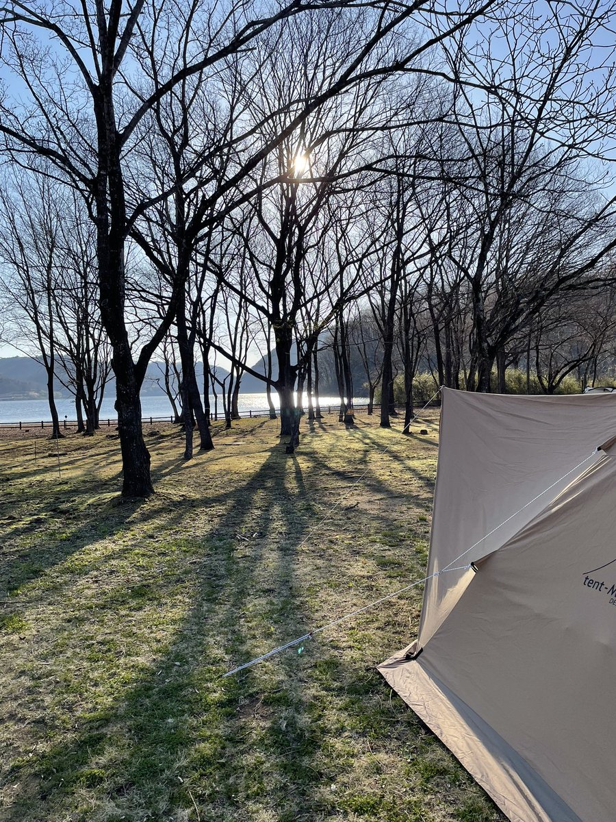 アナスタシア tweet media