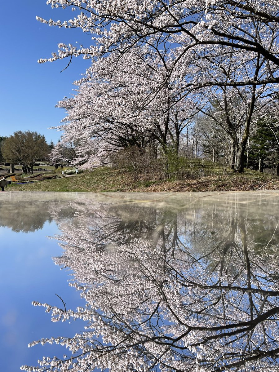 アナスタシア tweet media