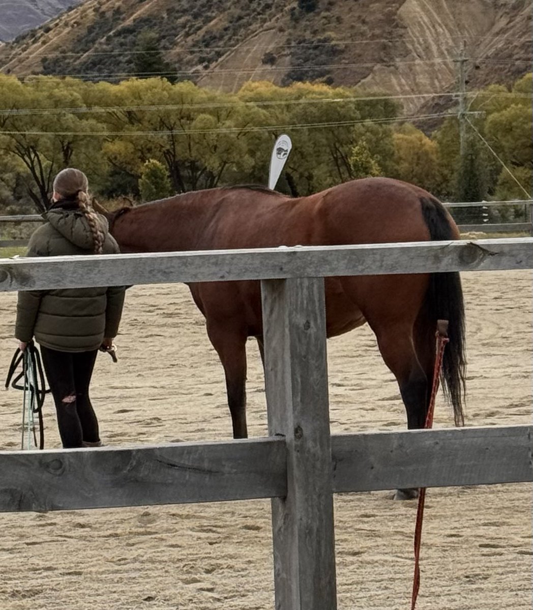 A weekend doing a horse course with the granddaughter.