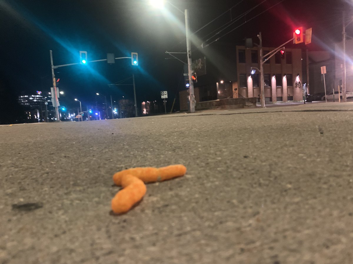 took this picture of a weird worm I found #lastnightwasamovie