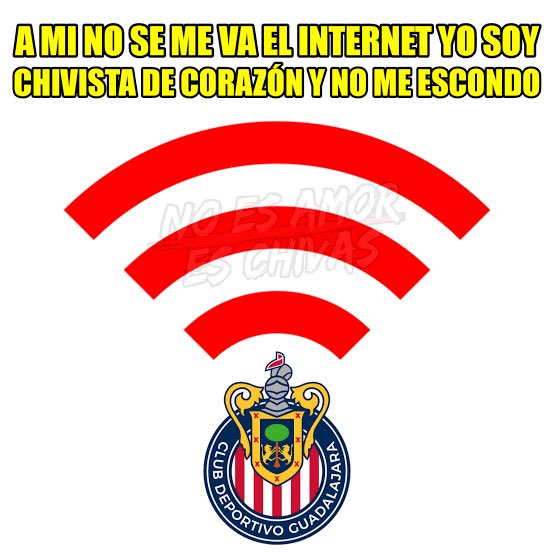 Jorge Guardado🐜 tweet media