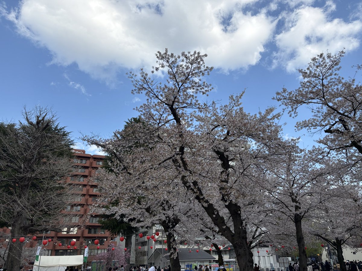 や っ ち ん 🐼🦁 tweet media