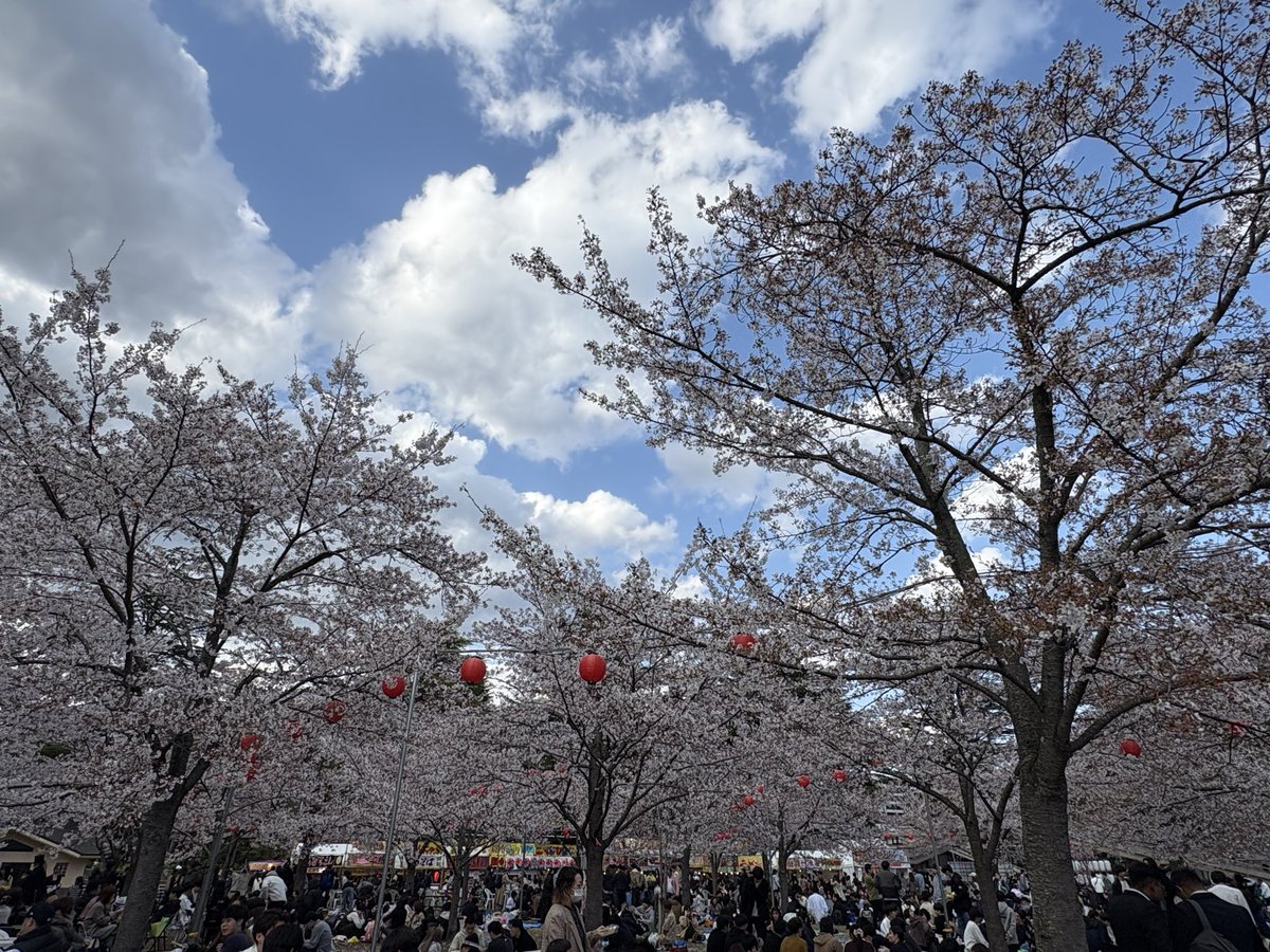 や っ ち ん 🐼🦁 tweet media