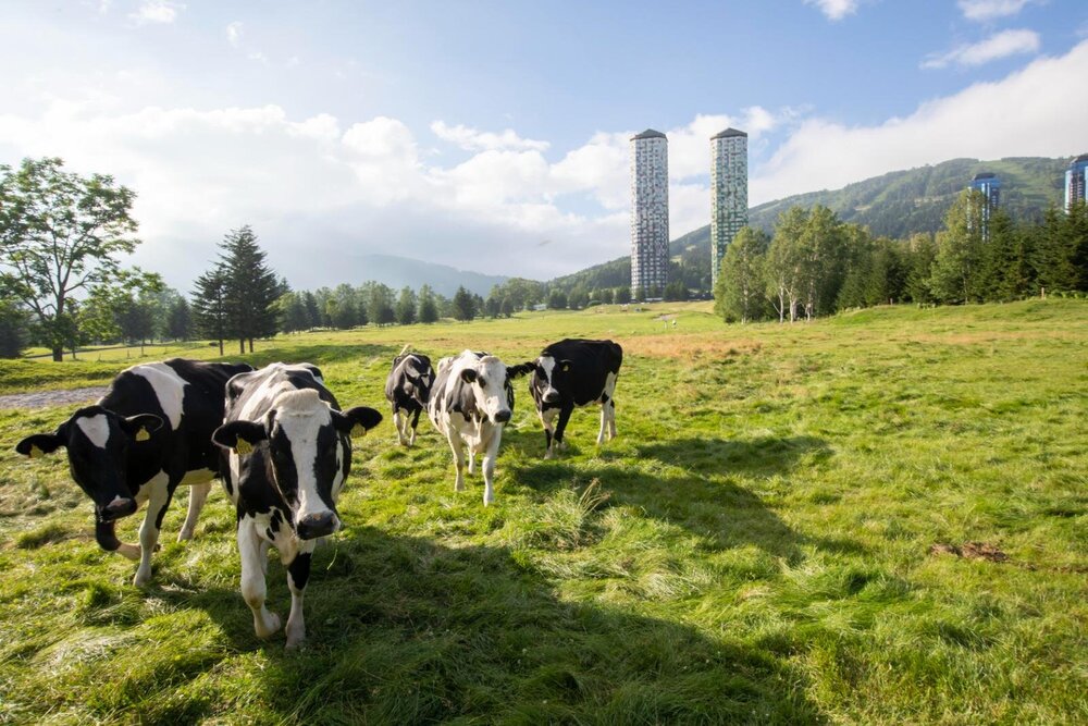 Fashion Press tweet media