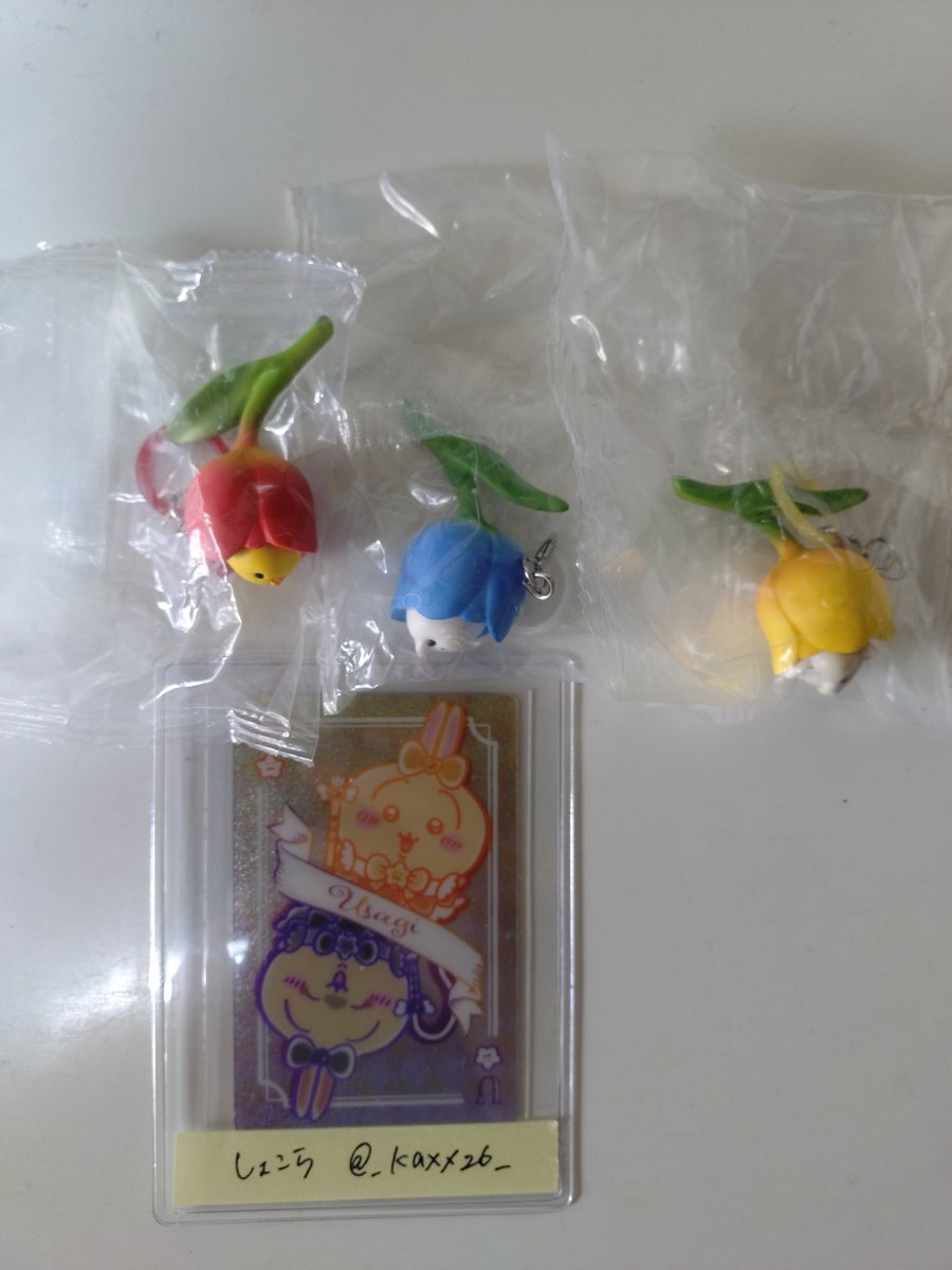 しょこら@お取引垢 tweet media