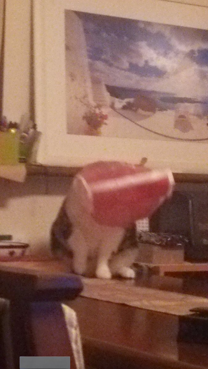 🐉nakahiro⛩ tweet media