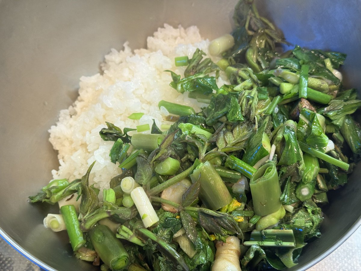 FUNA⚡︎ tweet media