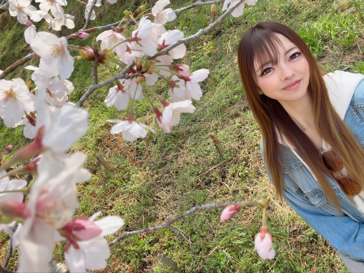 愛華🌺 tweet media