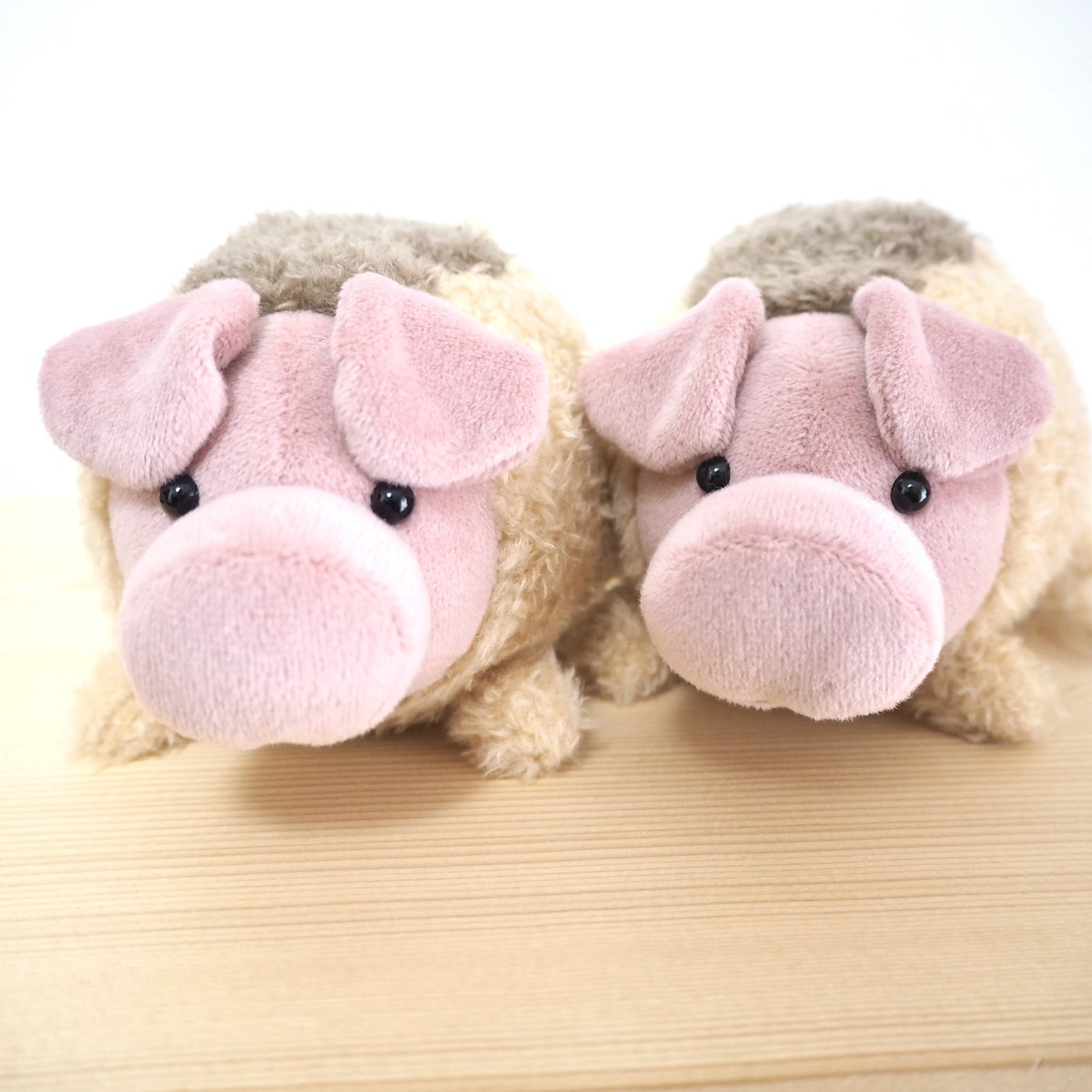 ギャラリー実のぬいぐるみ🧵 tweet media