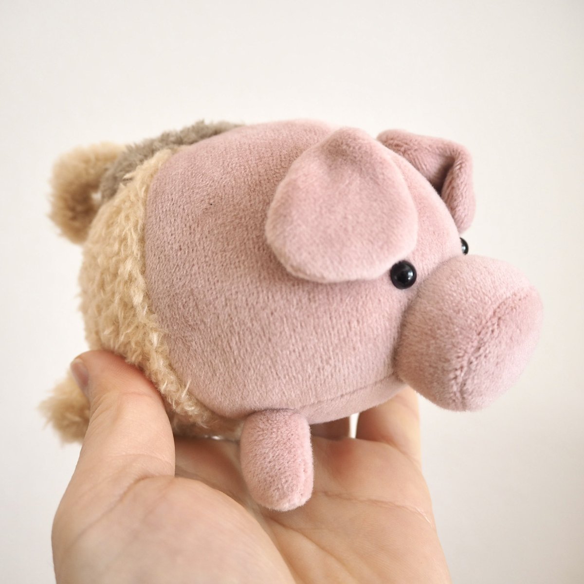 ギャラリー実のぬいぐるみ🧵 tweet media