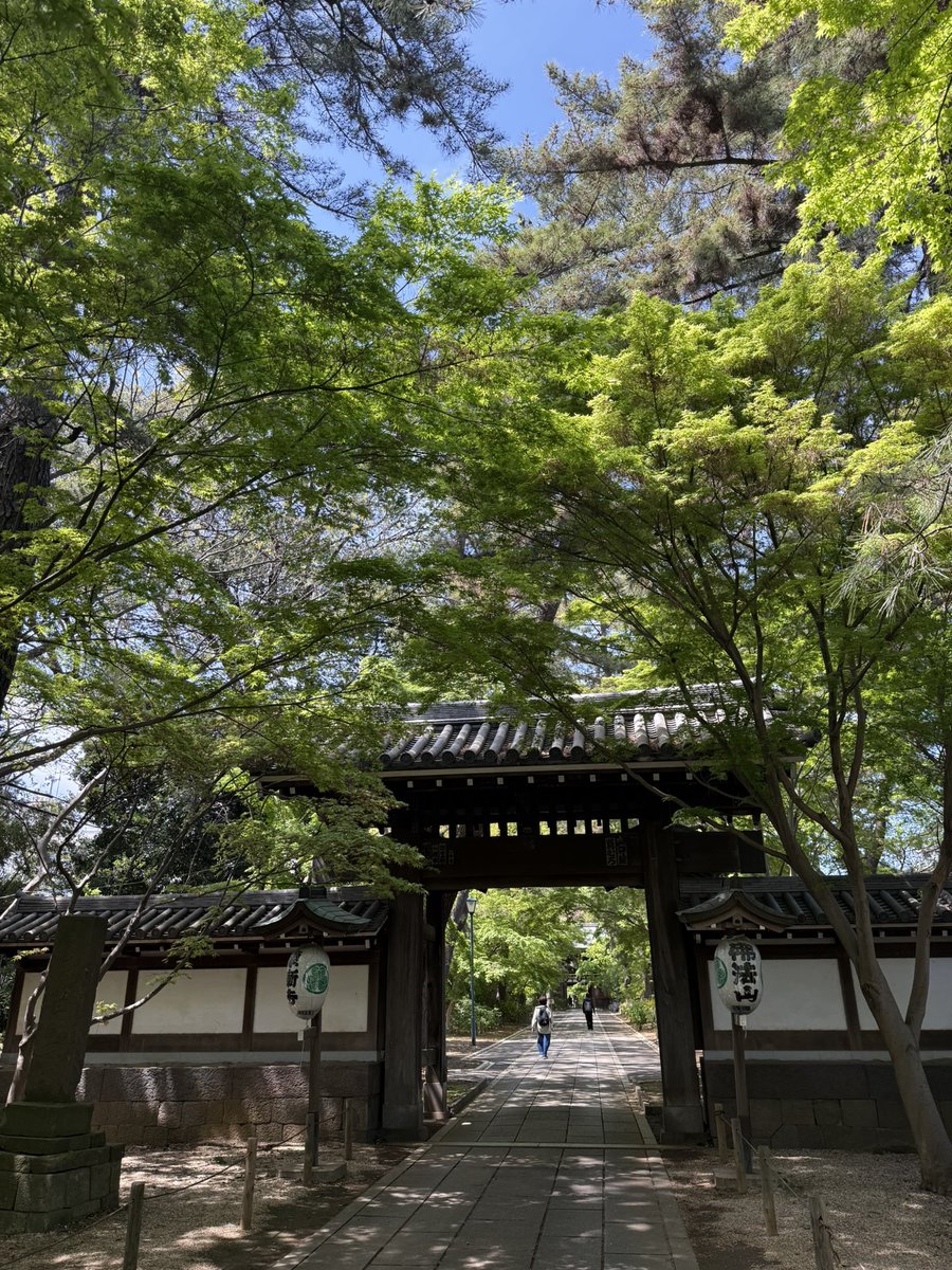 いりぱい tweet media