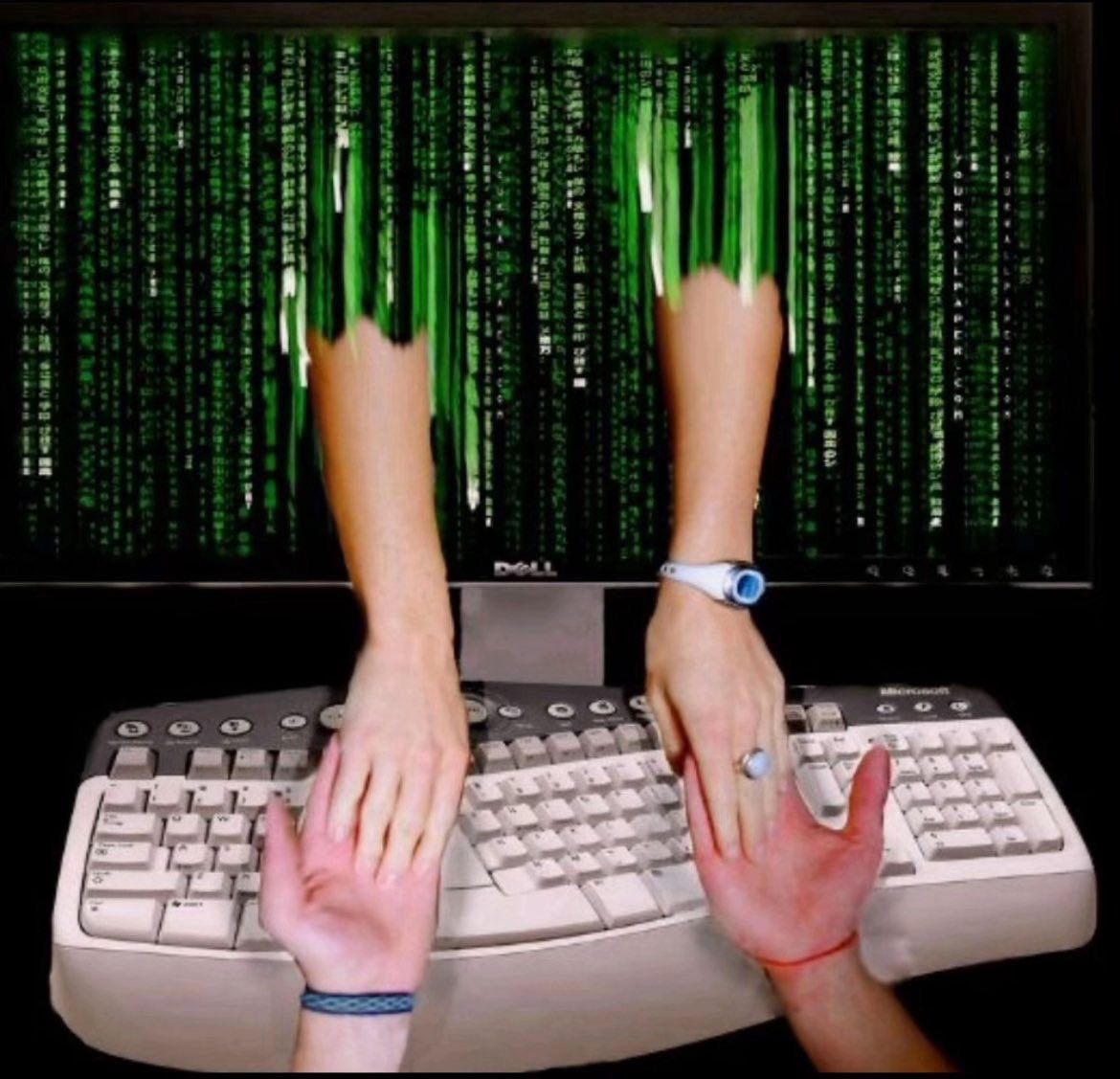 annie⁷⁷⁷ ❀ JAYPRIL tweet media