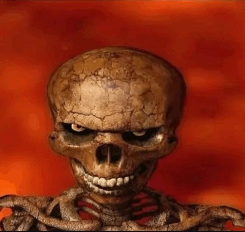 Dions 🌟 tweet media