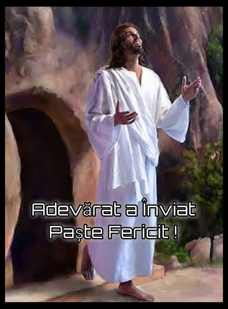 Neacșu Marian tweet media