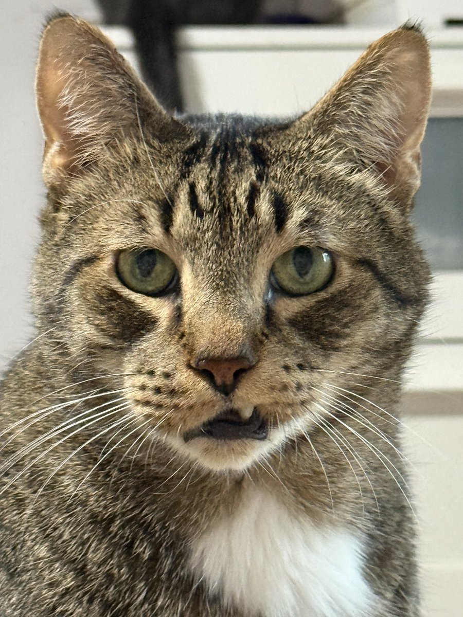 NotAgainYall tweet media