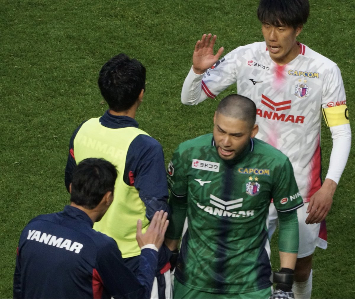 ハムリン tweet media