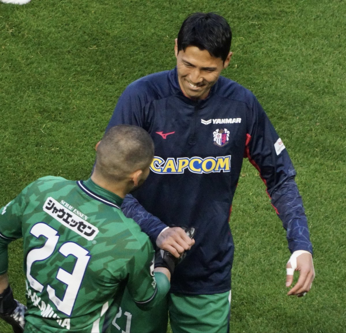 ハムリン tweet media