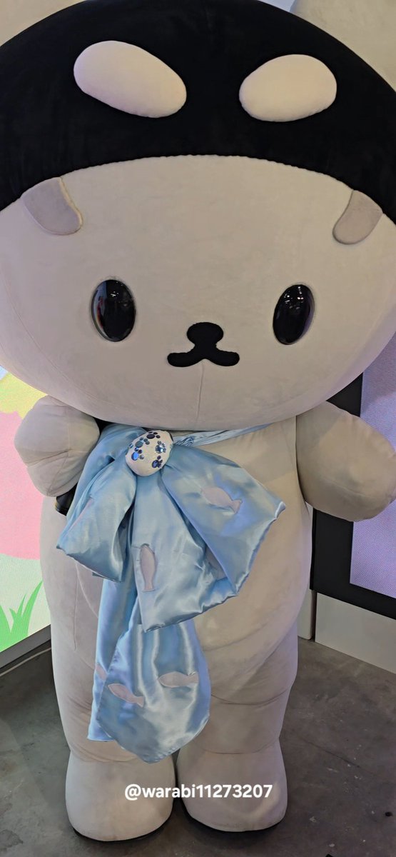 わらび tweet media