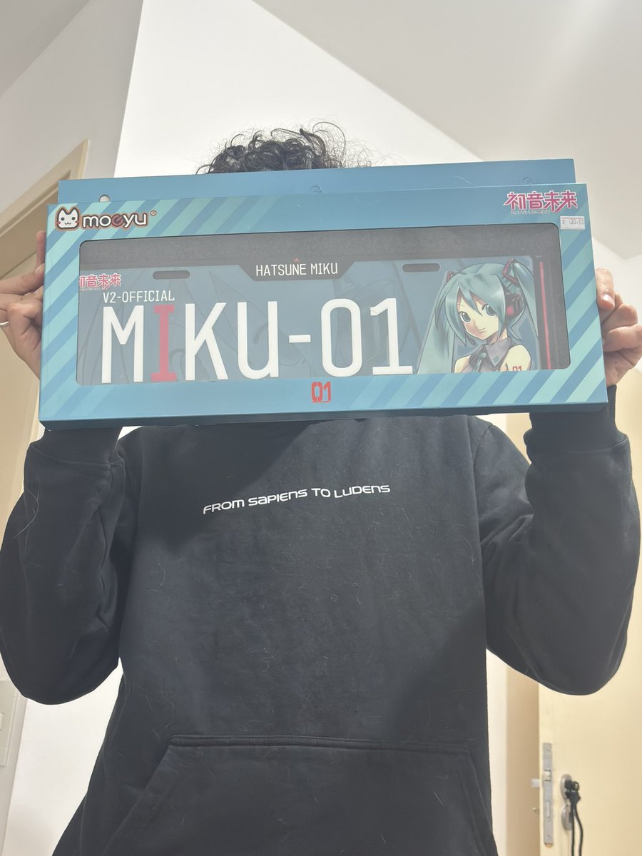 fui comemorar meu aniversário e voltei com uma placa de carro da hatsune miku