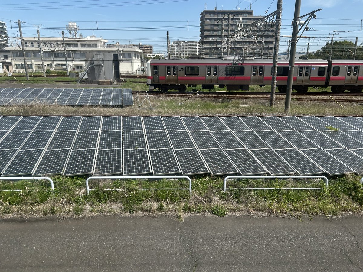 さしみぃ tweet media