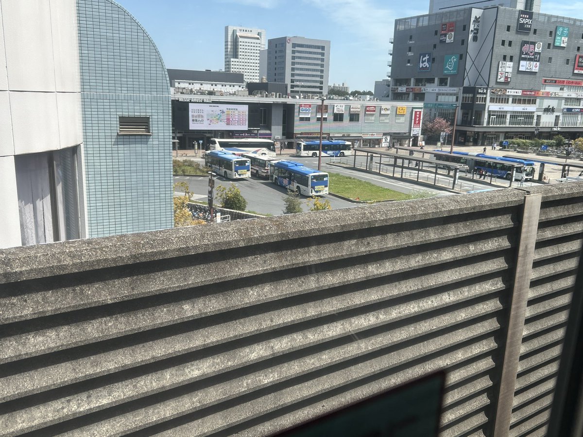 さしみぃ tweet media