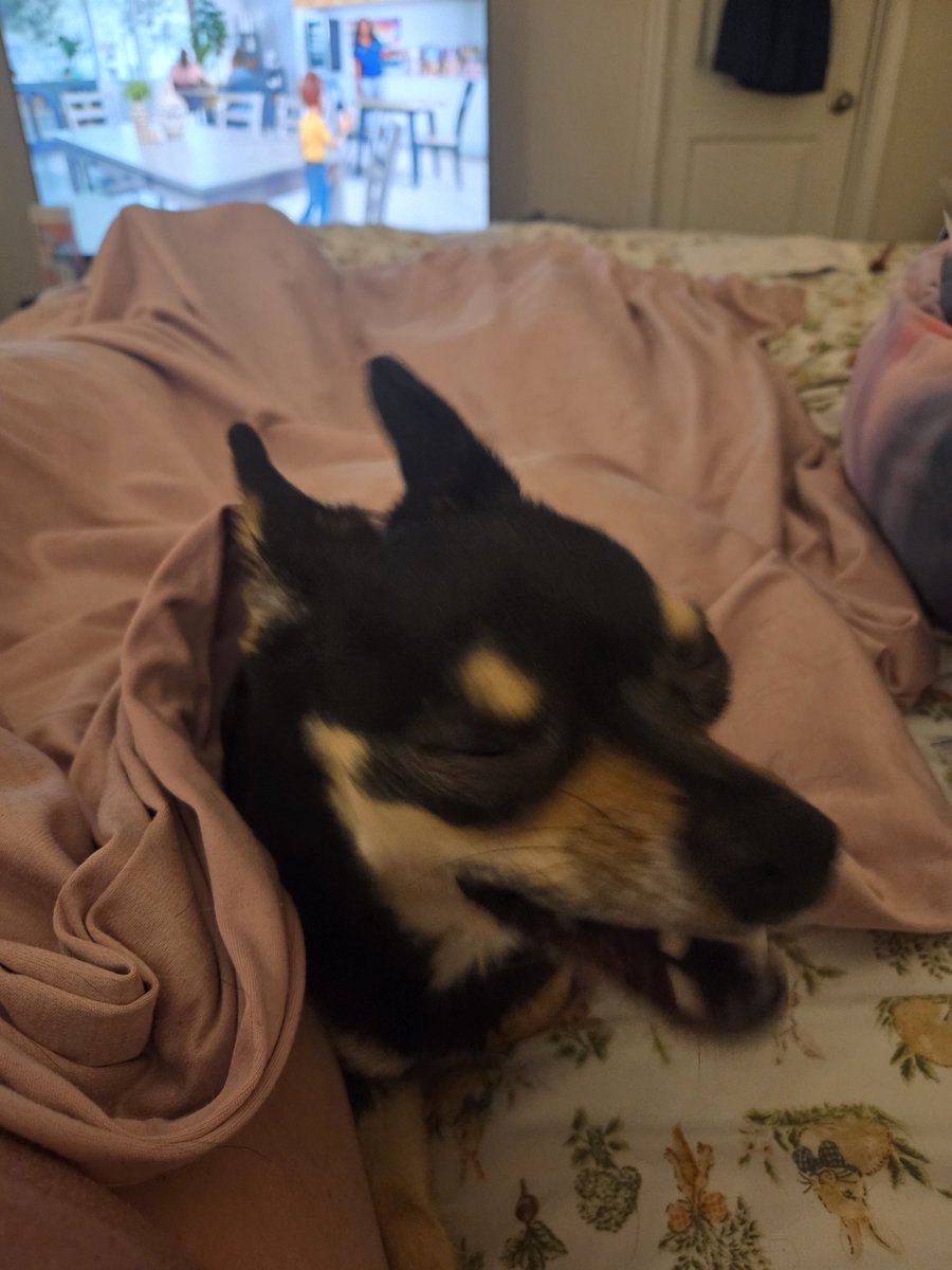 🏁Jennifer T Bond 🏁 tweet media