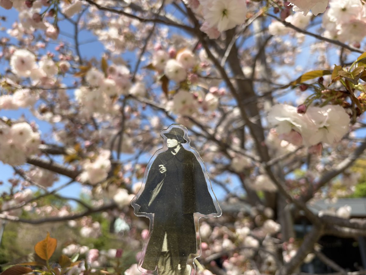 こんにちは！
オダサク倶楽部です。
今日は大阪城公園に来ました。
桜はだいぶ散ってしまいましたが、春らしい行楽日和。
気持ちの良い季節ですね。(つき)

#オダサク散歩