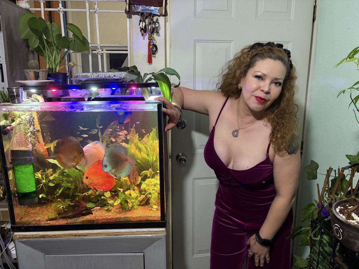 Los gueros tweet media