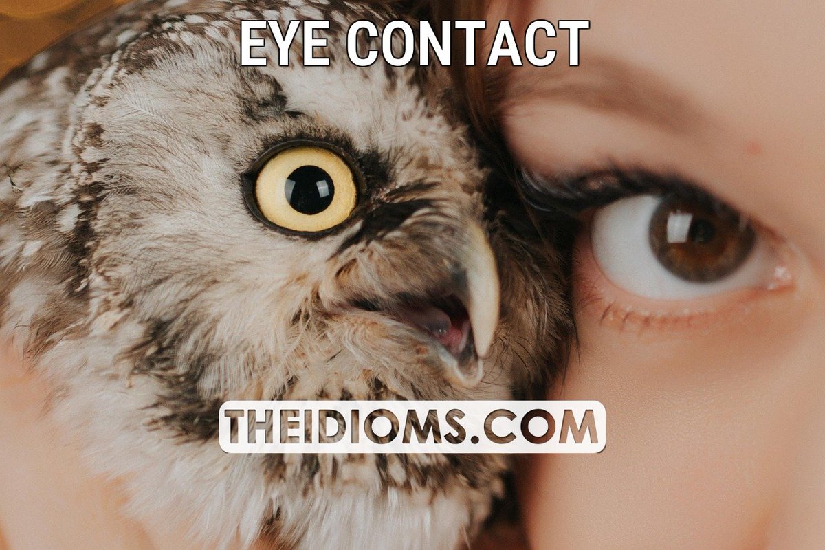 The Idioms tweet media