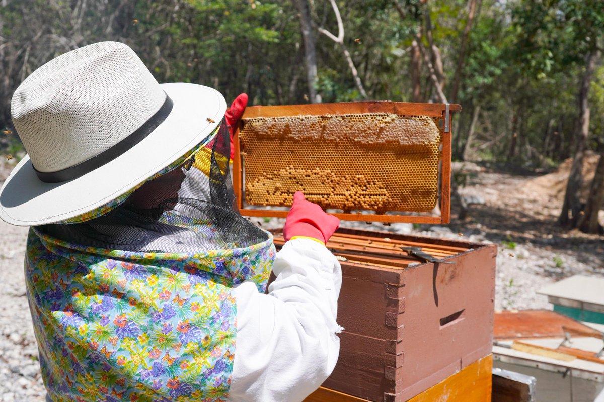 @GrupoPirámide tweet media