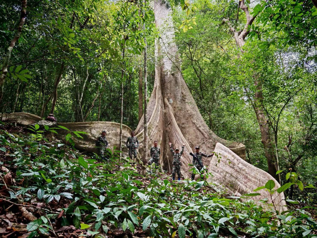 เว่ออออ ครับผม (‵▽′)ψ tweet media