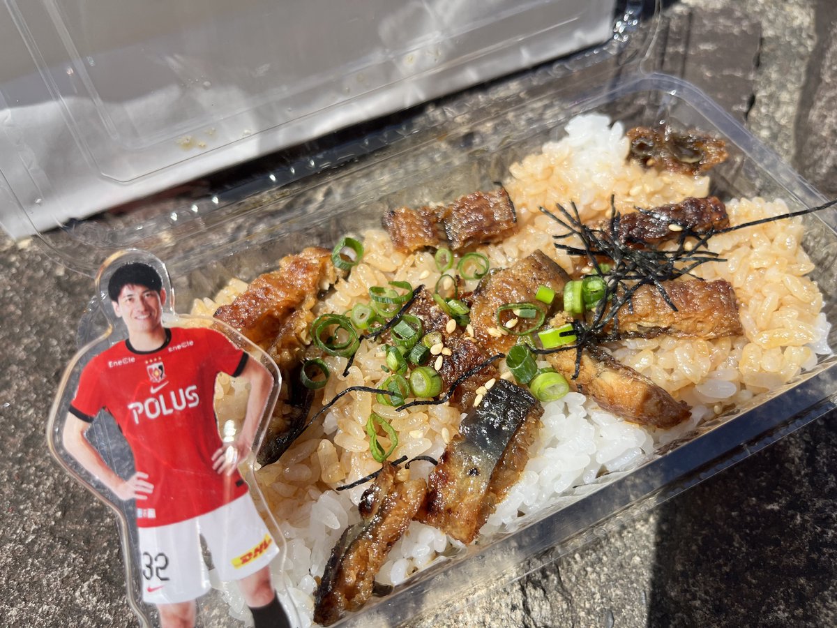 ウツボ tweet media