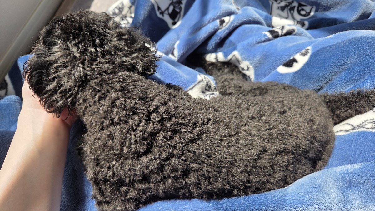 𝐚𝐦𝐢 #𝟖 tweet media