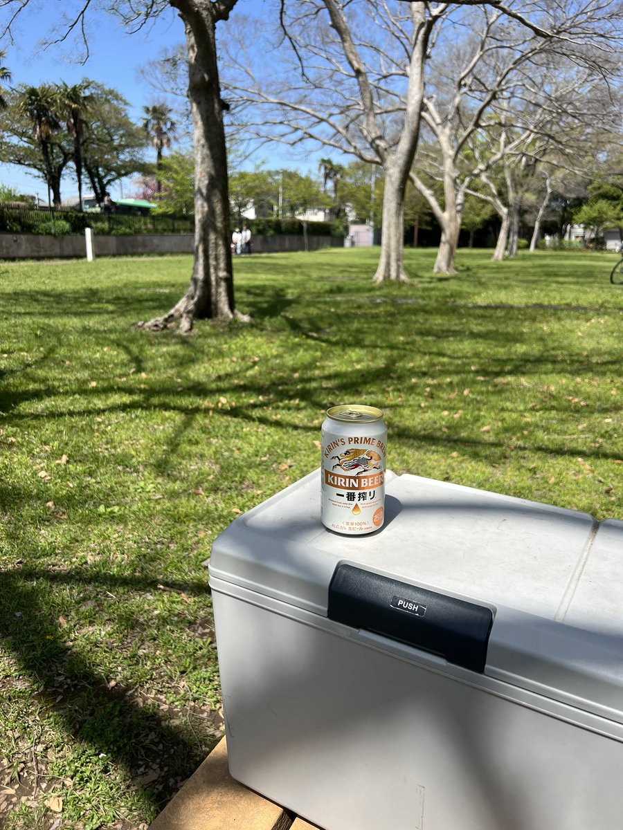 高橋ハム丸 tweet media