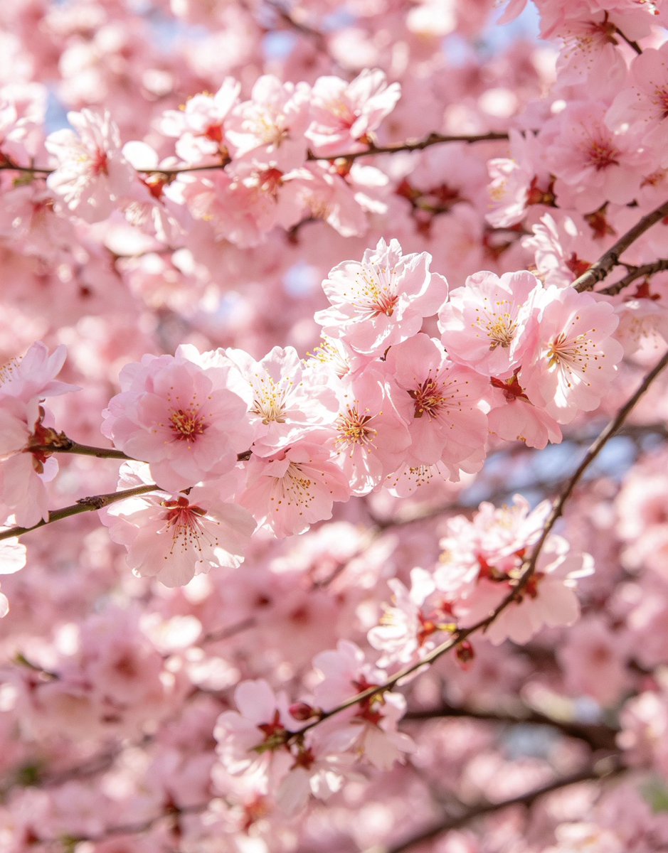 小剑 | 链上厂长 tweet media