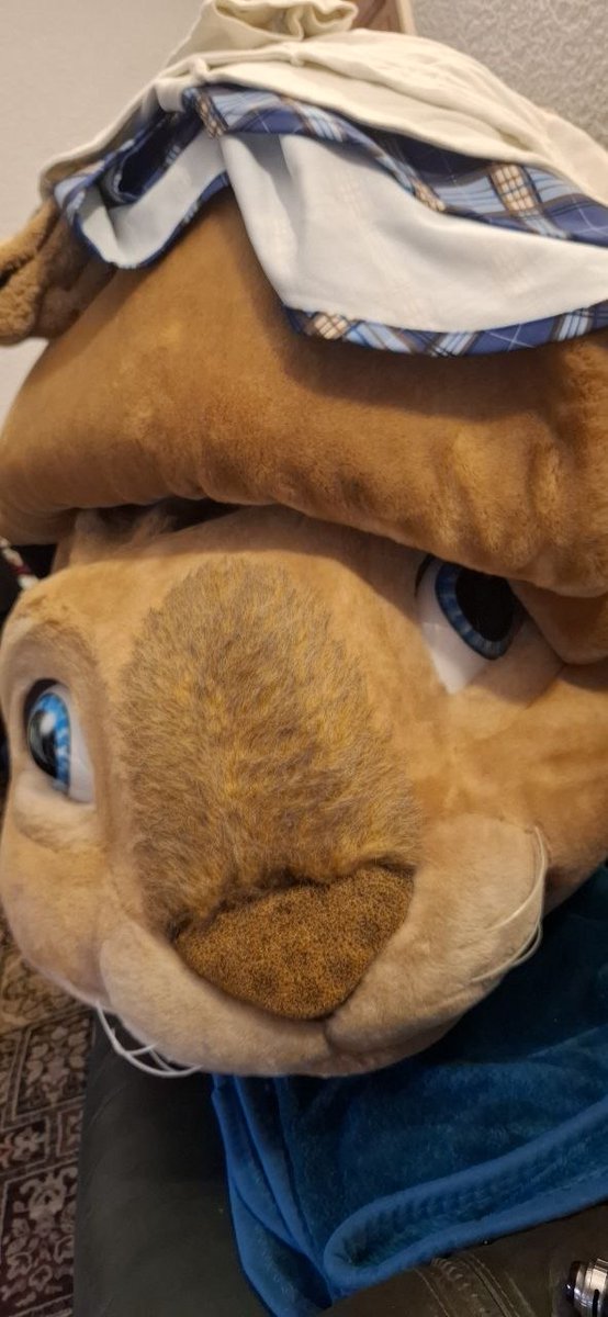 the-mascot-collector tweet media