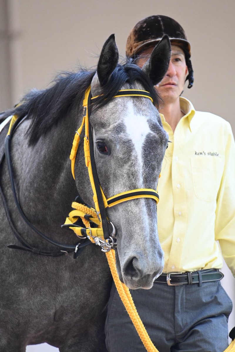 Tomonari Motohashi tweet media